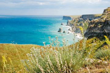 Beach peninsula Tarkhankut. Dzhangul. Crimea