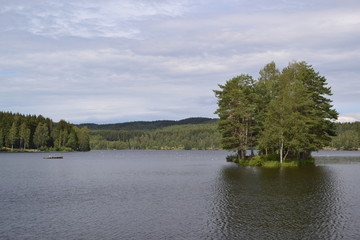 Fototapeta premium Trees on the lake 