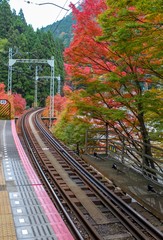 Railway to Mt Kurama