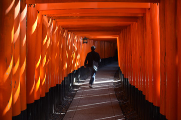 Fototapeta premium Japan Kioto 30000 tori