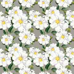 Seamless floral wallpaper with white flowers magnolia, peonies. Watercolour