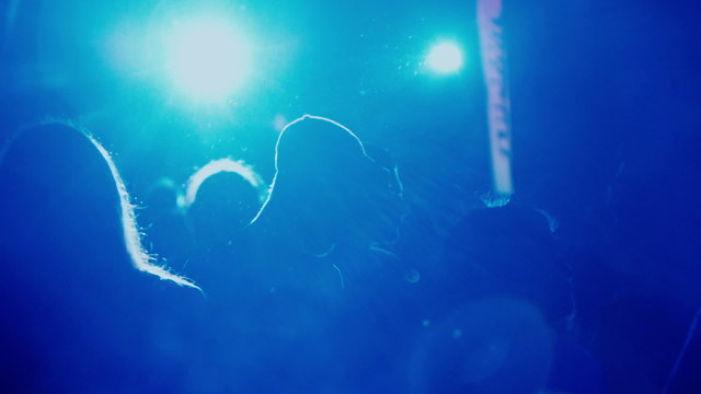 Dance club party people silhouetted backlit by colorful lights