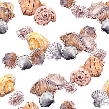Seamless sea shell pattern on white background. Aquarelle 