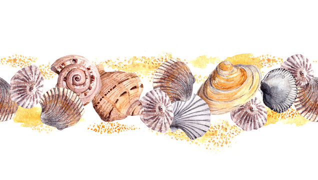 Seamless border stripe with sea shells in sand. Aquarelle frame 