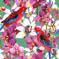 Exotic floral pattern - parrot bird, blooming orchid flowers