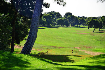 Kids golf course lessons