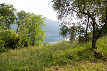 panoramic view from isola Comacina, at Como lake, Italy. between trees, water and mountains