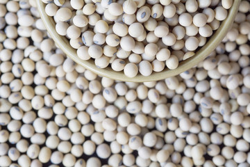 top view soy beans