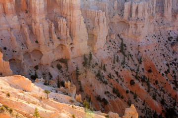 Bryce Canyon National Park located in Utah, USA