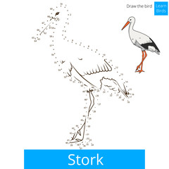 Stork bird learn to draw vector
