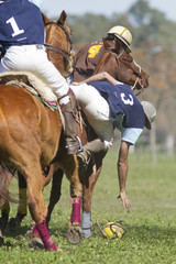 argentina deporte nacional