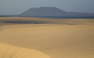 Corralejo beach, Corralejo, Fuerteventura, Canary-Islands, Spain
