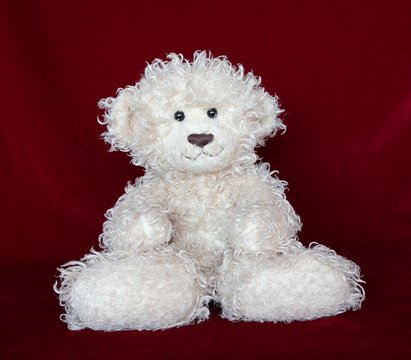 WHITE FUZZY BEAR WITH DARK RED BACKGROUND GREAT FOR CHILDREN'S ROOM