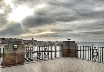 Obraz premium Trieste panoramic view from roof top