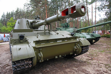 Ukraine. Kiev. The village is about Mezhyhirya. 09: 05: 2012. Mi