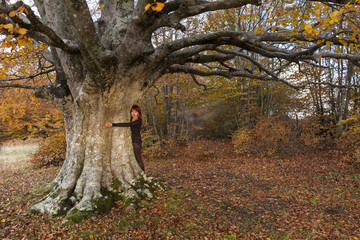 Ragazza abbraccia un albero secolare