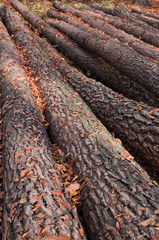 jesienne klimaty © amadeusz