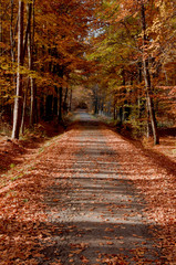 Obraz premium jesienne klimaty