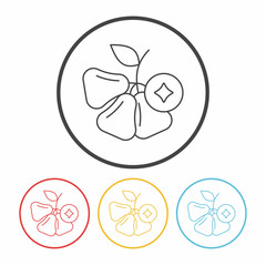 fruits wax-apple line icon
