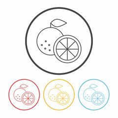 fruits orange line icon