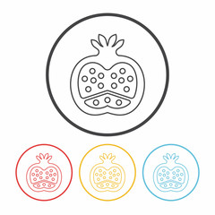 fruits pomegranate line icon