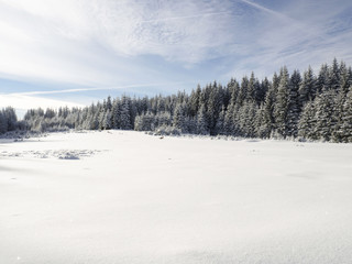 Fototapeta na wymiar Beautiful winter landscape with snow covered trees 