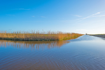 Shore of a canal through a field in autumn