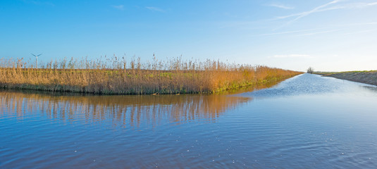 Shore of a canal through a field in autumn