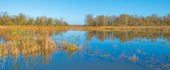 The shore of a sunny lake in autumn