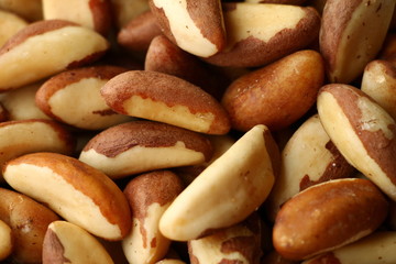 Brazilian walnuts