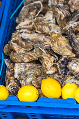 Oysters market in Cancale, France