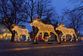 Christmas moose herd made of led light