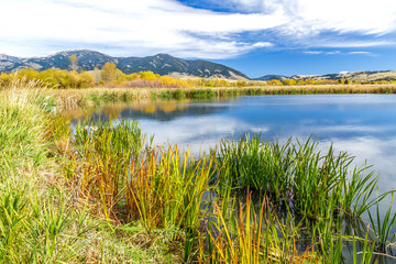 Cherry Creek Preserve