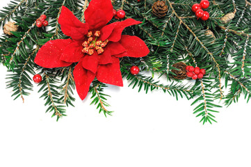 Christmas poinsettia flower, pine tree branch and mistletoe for decoration