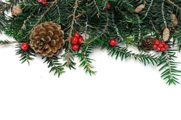 pine cone and pine tree leaves for Christmas decoration