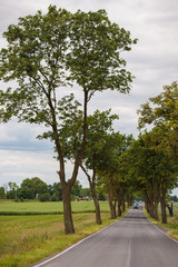 rural road