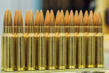 ammunition (bullets)
