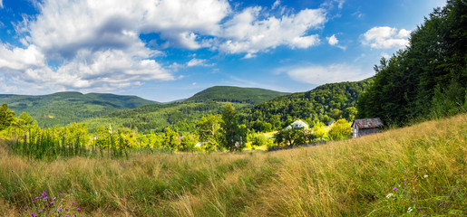 Fototapeta premium panorama of village and meadow on hillside near mountain forest