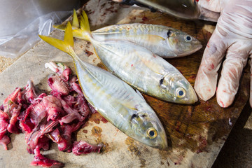 prepare for dissected yellowstripe scad on wood cutting board
