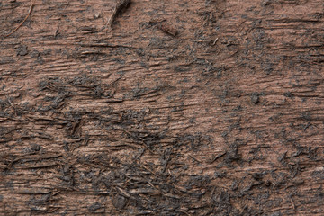 texture of a dark wooden board