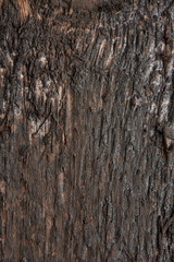 texture of a dark wooden board