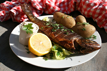 omega-3 kieselsäure forelle gesunde ernährung lifestyle organisch 2017 dip