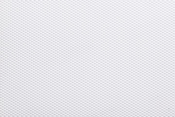 White canvas texture.