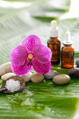 Fototapeta na wymiar spa setting with pebbles ,stones,oil , orchid and banana leaf