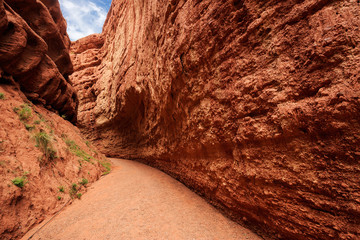 road with some grass in a valley of red sandstone