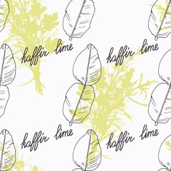 Hand drawn kaffir lime branch and handwritten sign. Spicy herbs seamless pattern. Doodle kitchen background