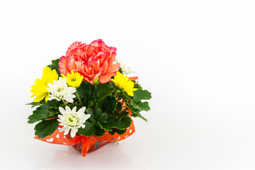 Bouquet carnation and chrysanthemum flowe.