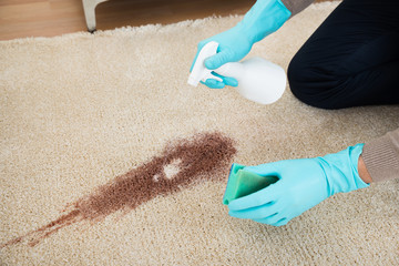 Man Spray Bottle And Sponge Cleaning Red Wine On Rug