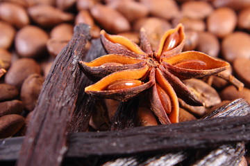 Closeup of anise, vanilla sticks and coffee grains, ingredients for cooking or baking