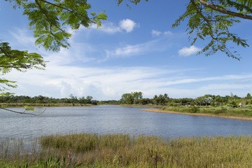 Lake in the Everglades